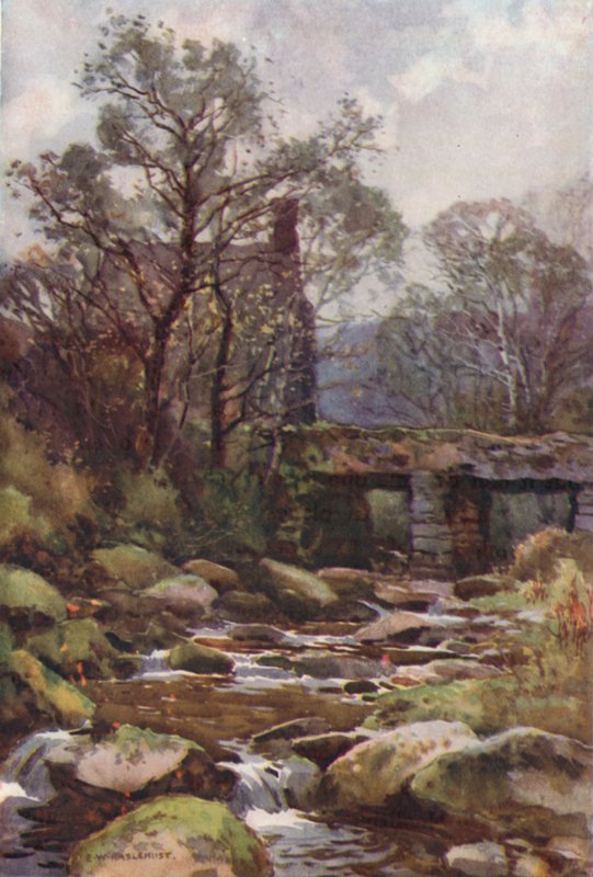 Ockery Bridge, nær Princetown (farge litho) av Ernest William Haslehust