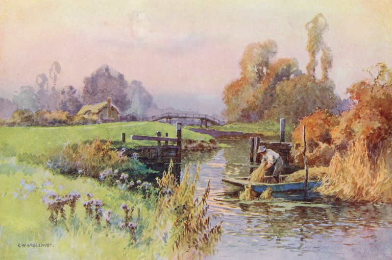  av Ernest William Haslehust