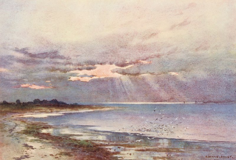  av Ernest William Haslehust