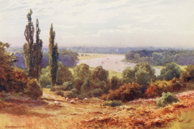  av Ernest William Haslehust