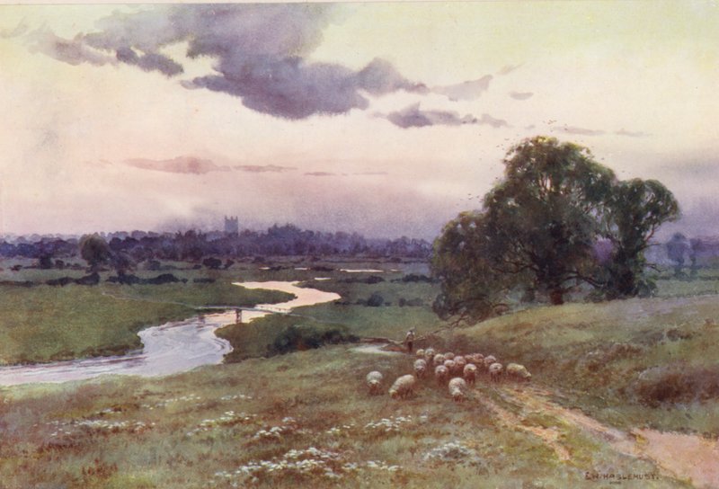  av Ernest William Haslehust