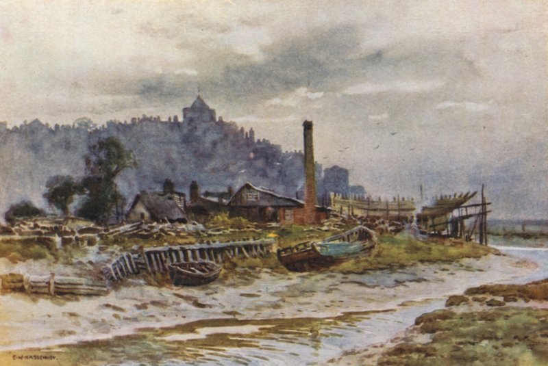 Rug (farge litho) av Ernest William Haslehust