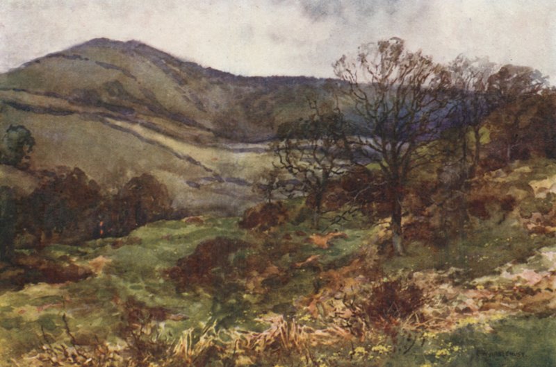 Shanklin Down, tidlig vår (farge litho) av Ernest William Haslehust
