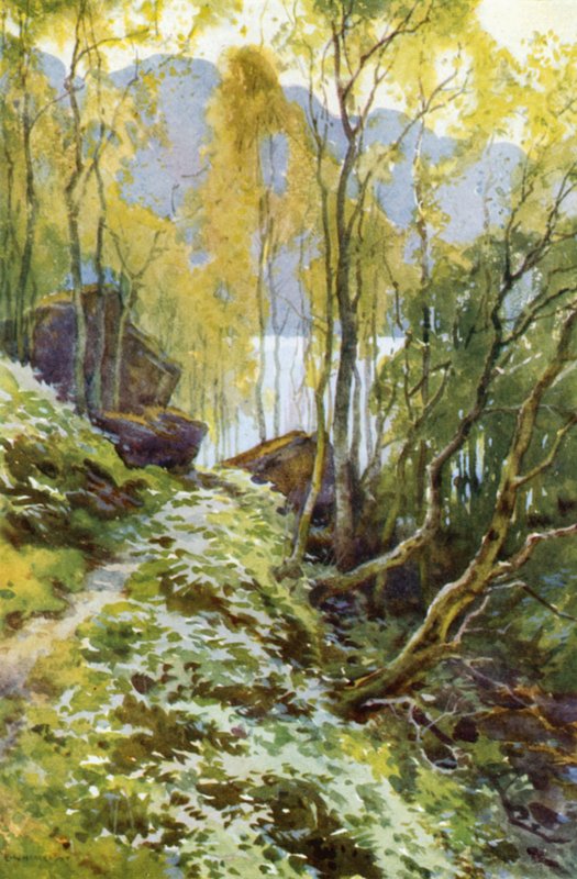 The Old Pass, Trossachs (farge litho) av Ernest William Haslehust