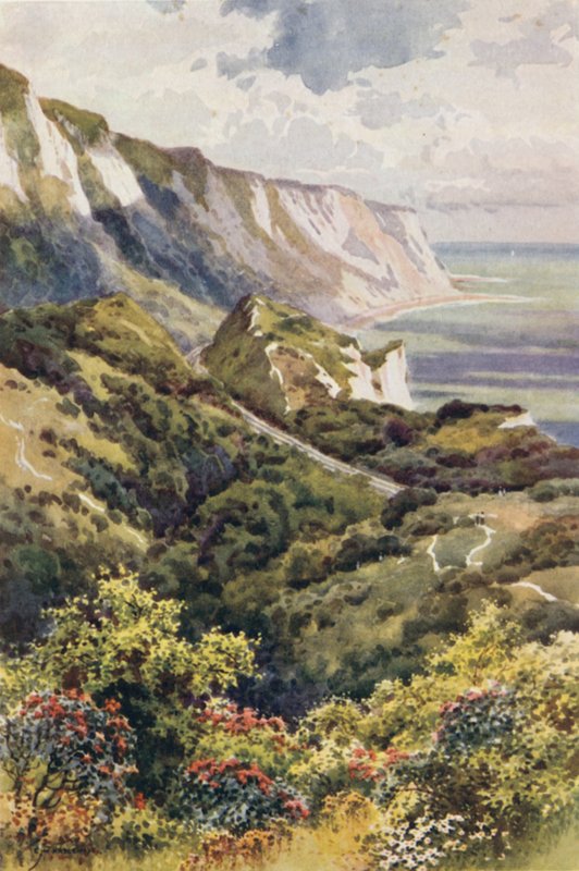The Warren, Folkestone (farge litho) av Ernest William Haslehust