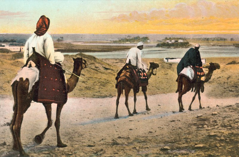 Kameler, Nord-Afrika av European Photographer