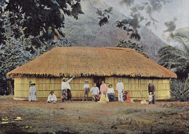 Tahitisk hytte av European Photographer