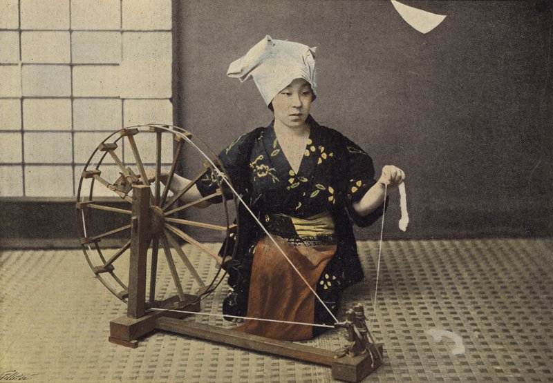 Bomullsspinner av European Photographer
