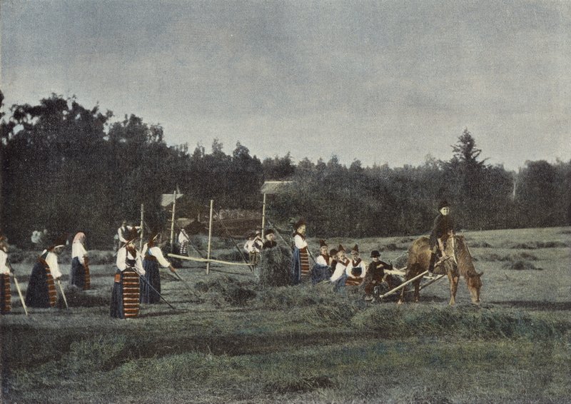 Høskjæring i Dalarna, Sverige av European Photographer
