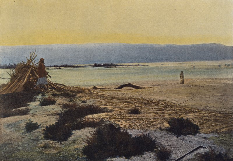 Dødehavet ved munningen av Jordan av European Photographer