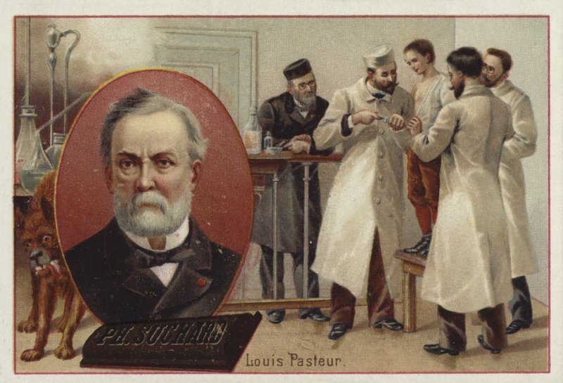 Louis Pasteur , fransk kjemiker og mikrobiolog av European School