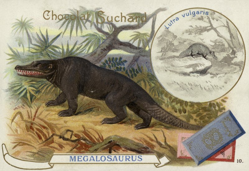 Megalosaurus og oter av European School