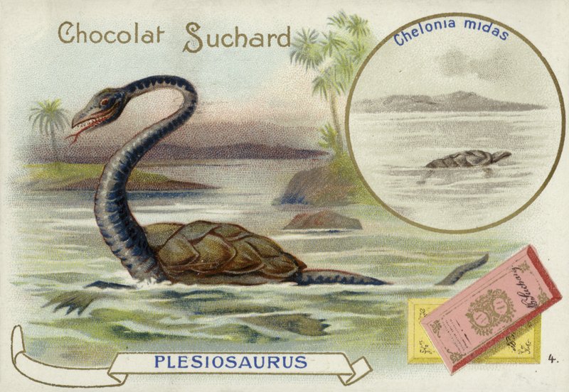 Plesiosaur og grønn havskilpadde av European School