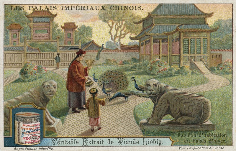 Boligpaviljong til Vinterpalasset, Kina av European School