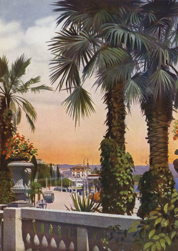 Opatija, nå Opatija i Kroatia: Utsikt over palmer fra Hotel Bellevue (bilde) av European Photographer
