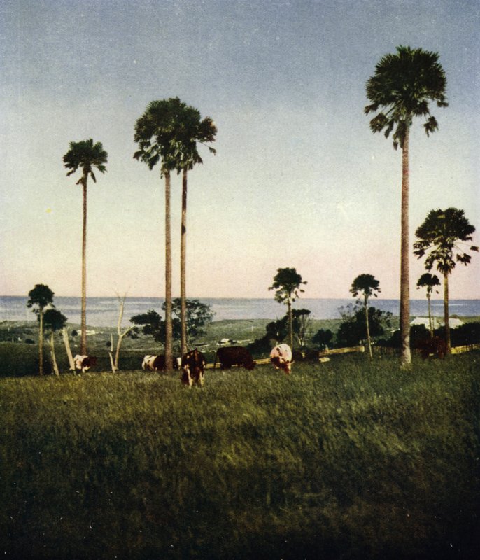 Australia, Illawarra (bilde) av European Photographer