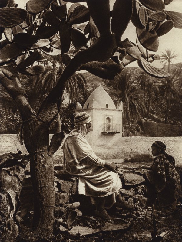 Bou-Saada Oasis, den helliges grav (s/hvitt bilde) av European Photographer