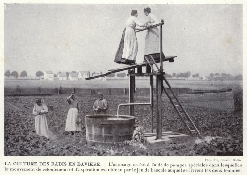 Reddikkulturen i Bayern (s/hvitt-bilde) av European Photographer