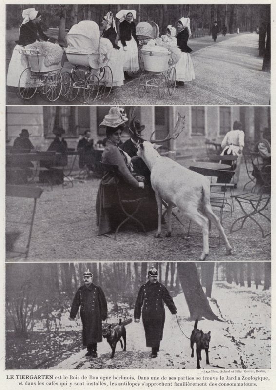 Le Tiergarten (s/hvitt bilde) av European Photographer