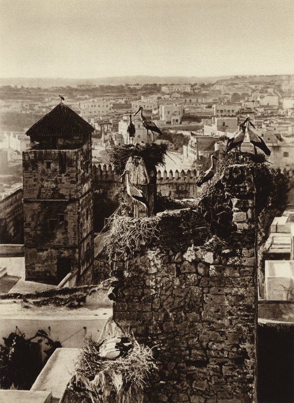 Rabat, storker i Kasbah Oudaya (s/hvitt bilde) av European Photographer