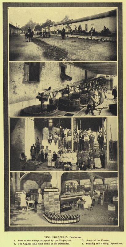 Vina Errazuriz vingård, Panquehue, Chile (s/hvitt bilde) av European Photographer