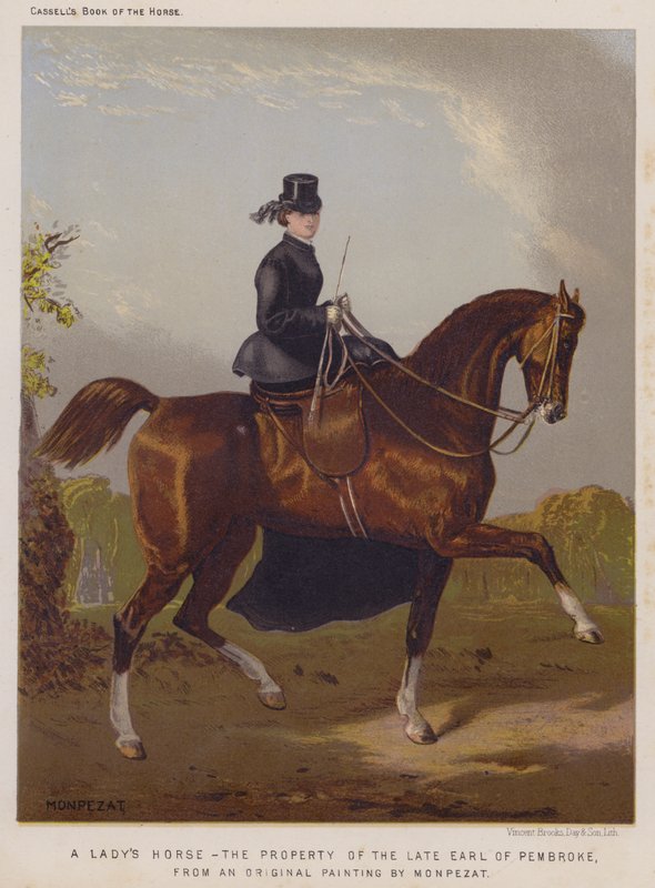 A Lady's Horse, eiendommen til avdøde jarl av Pembroke (farge litho) av European School