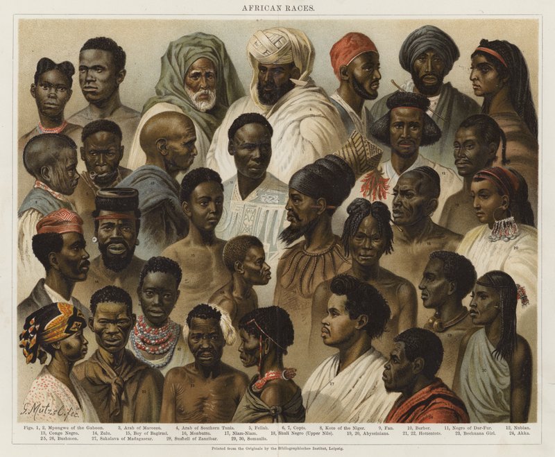 afrikanske raser av European School