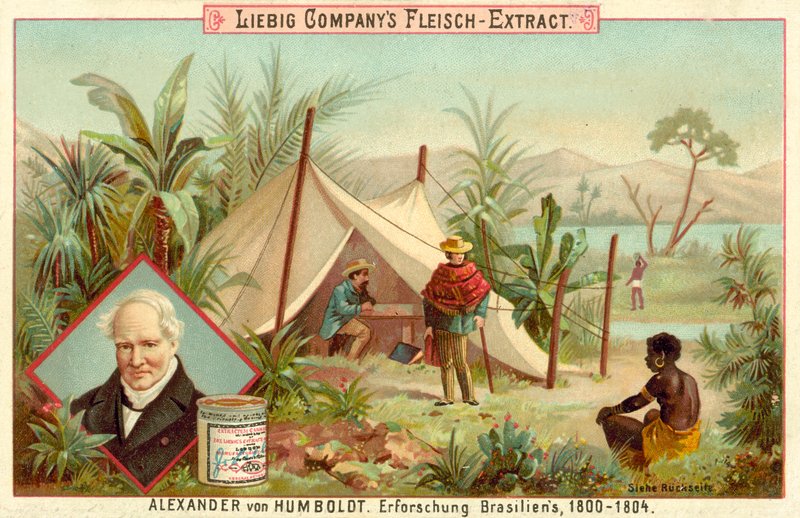 Alexander von Humboldts ekspedisjon til Sør-Amerika, 1800-1804 av European School