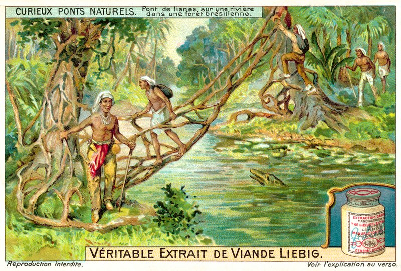 Bro dannet av lianer over en elv i den brasilianske regnskogen (chromolitho) av European School