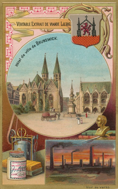 Brunswick av European School