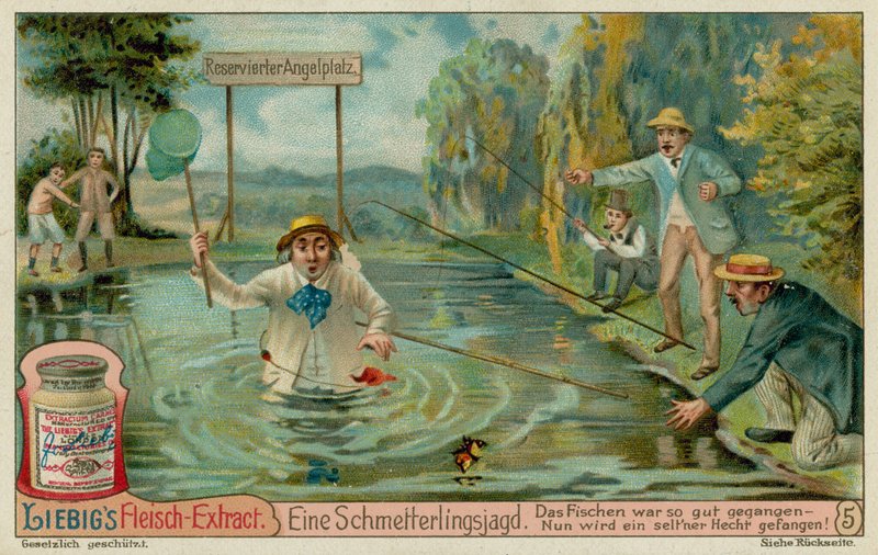 Sommerfugljakt og fiskere av European School