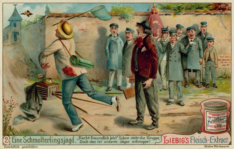Sommerfugljakt og fotografering av European School