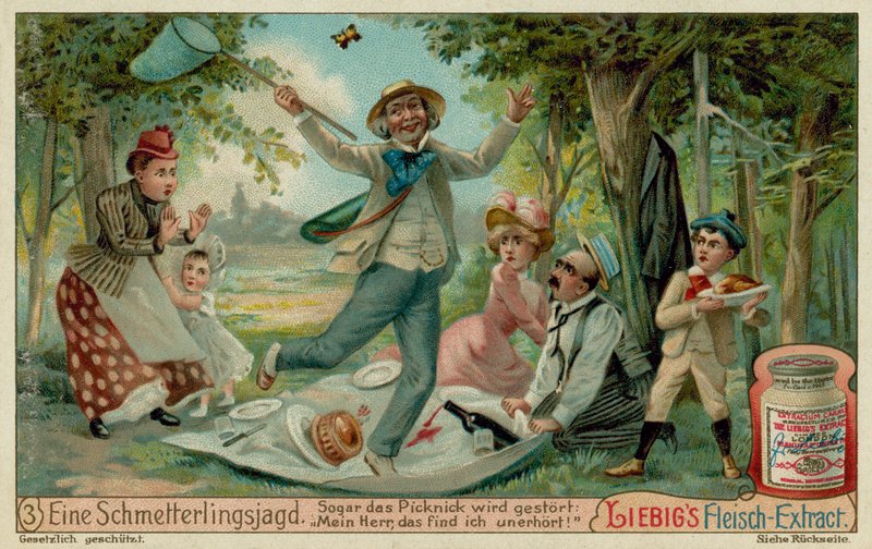 Sommerfugljakt og piknik av European School