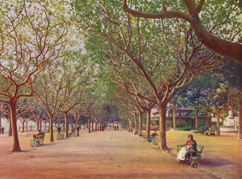 Cannes, Les Allees (farge litho) av European School