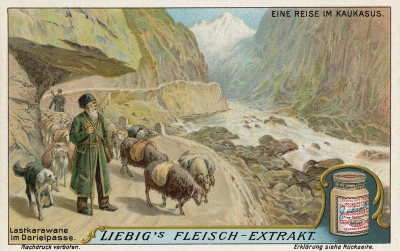 Caravan i Darial Gorge, Russland av European School