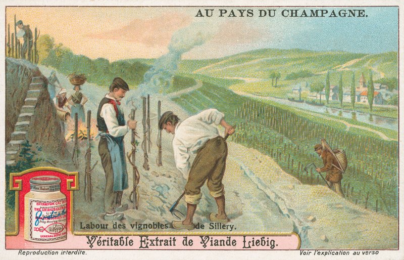 Champagne, Liebig-kort, tidlig på 1900-tallet (kromo) av European School