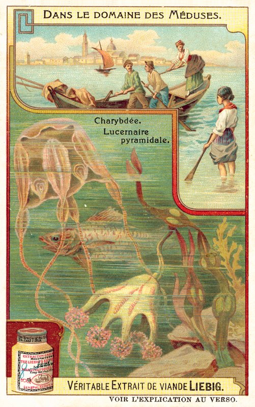 Charybdis og Pyramidal Lucernia (chromolitho) av European School