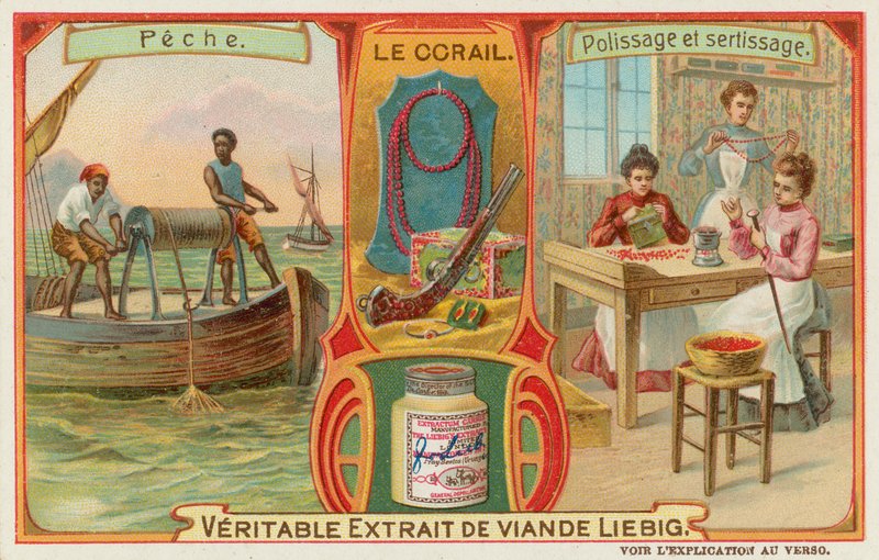 Korall av European School
