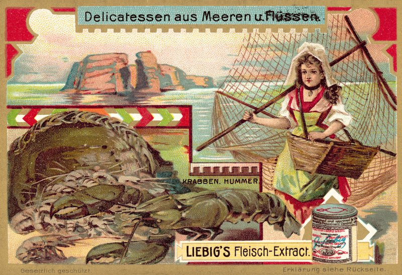 Krabbe og hummer (chromolitho) av European School