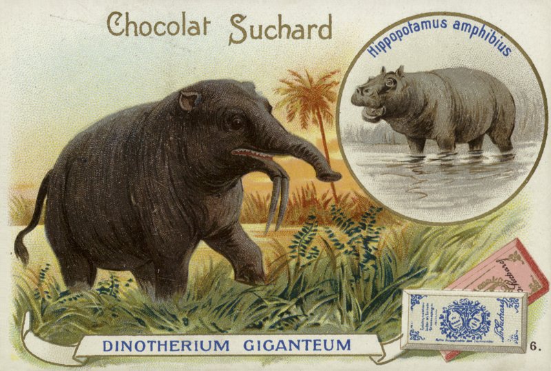 Deinotherium Giganteum og flodhest av European School