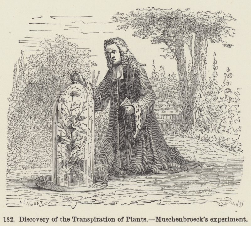 Discovery of the Transpiration of Plants, Muschenbroecks eksperiment (gravering) av European School