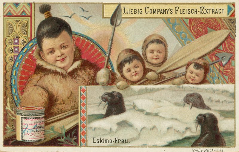 Eskimo av European School