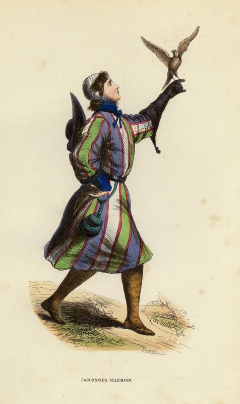 Tysk Falconer (farget gravering) av European School