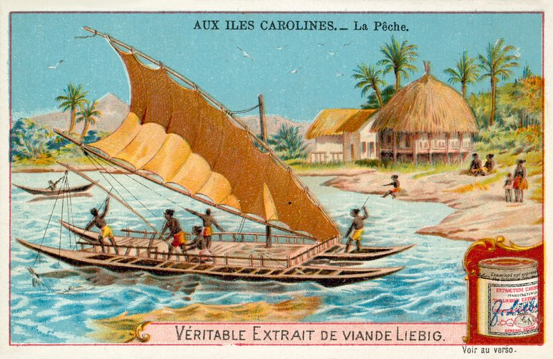 Fiske, Caroline Islands (chromolitho) av European School