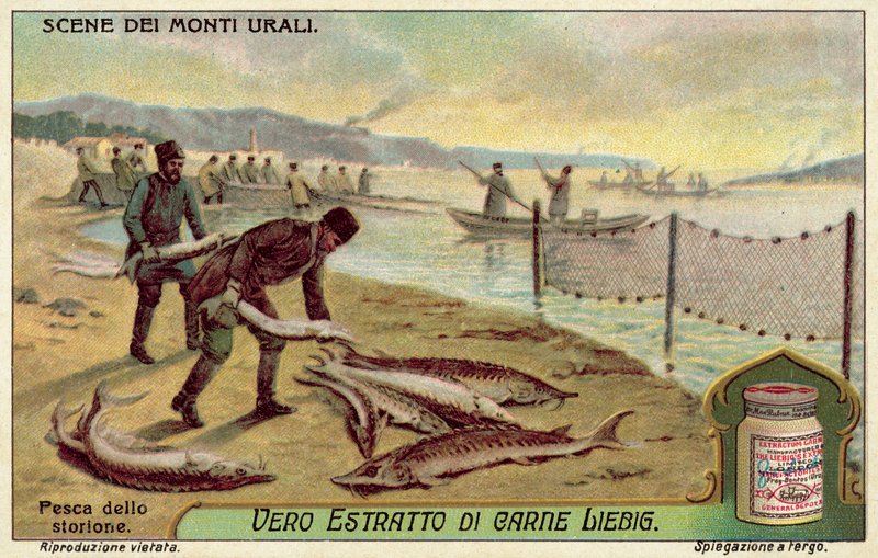 Fiske etter stør (chromolitho) av European School