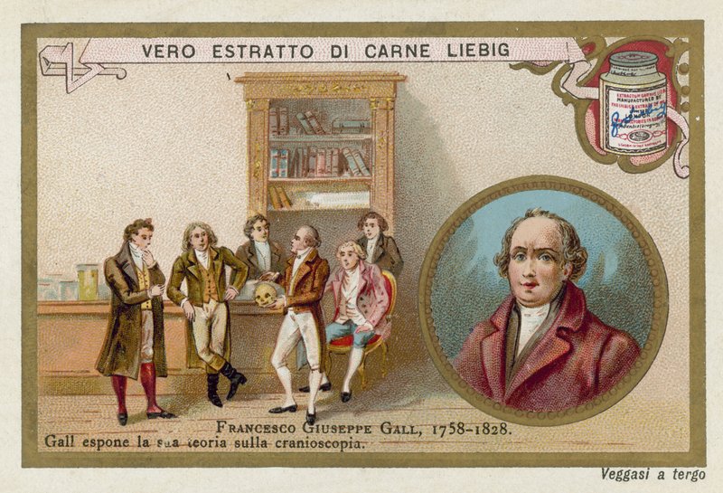 Franz Joseph Gall, tysk nevroanatom og fysiolog av European School