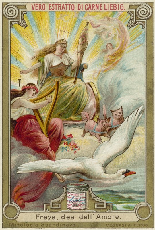 Freyja, kjærlighetsgudinnen av European School