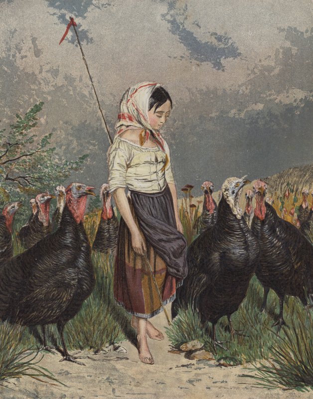 Jente som passer på en flokk kalkuner (farge litho) av European School