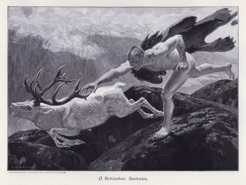 Hercules (gravering) av European School