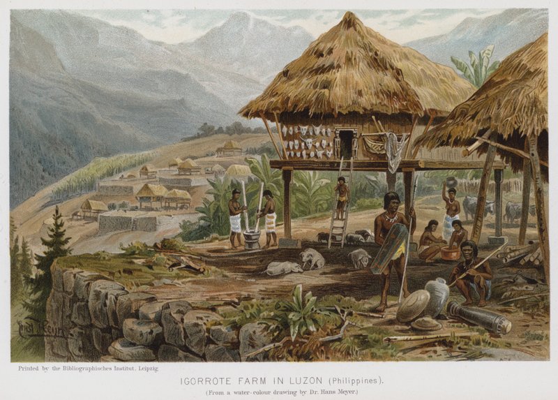 Igorrote Farm i Luzon, Filippinene (chromolitho) av European School